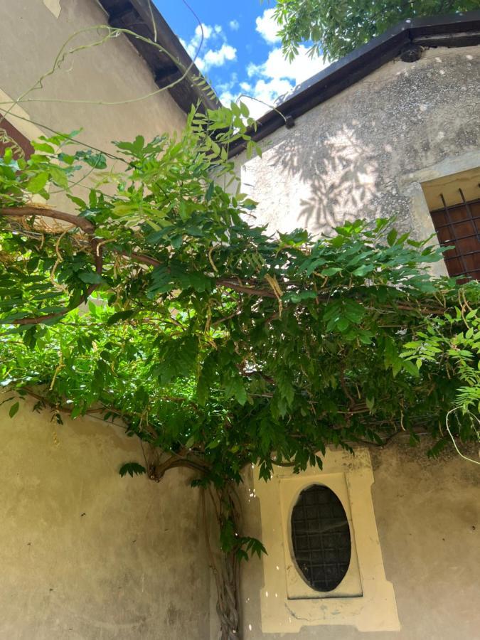 Zocchetta Casa Barattini B&B 외부 사진