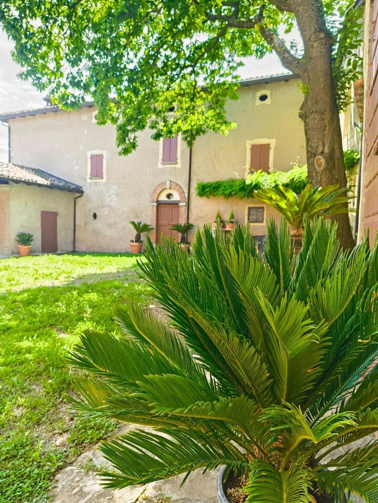 Zocchetta Casa Barattini B&B 외부 사진